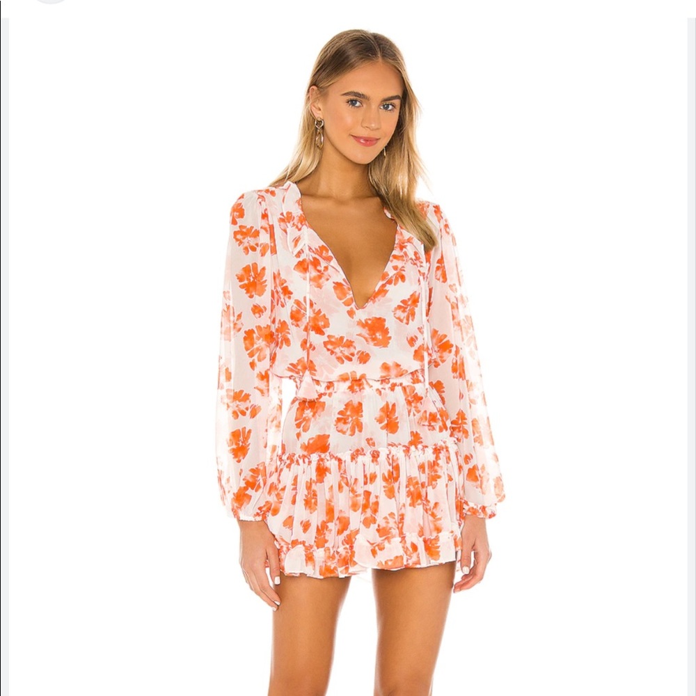 Misa Los Angeles Mini Dress